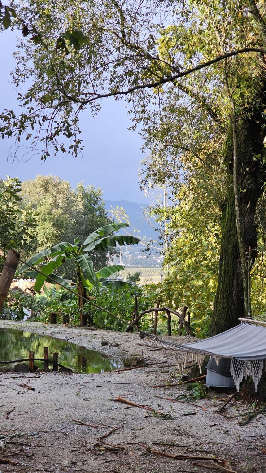 Quinta Miminel Rabuide Exterior foto